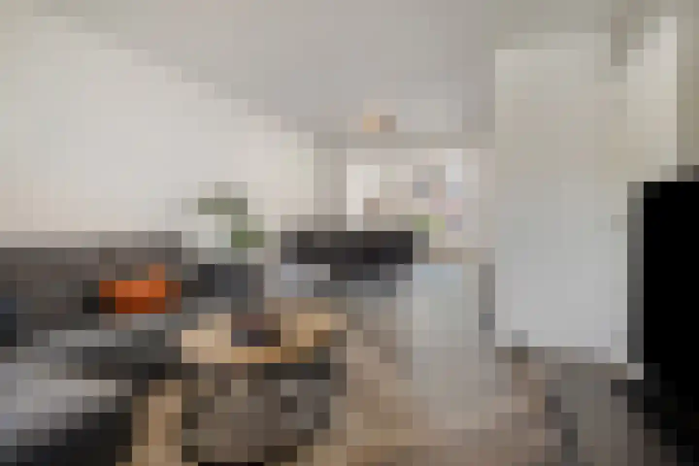 Kraanvogelhof 2 Nuenen thumbnail 7