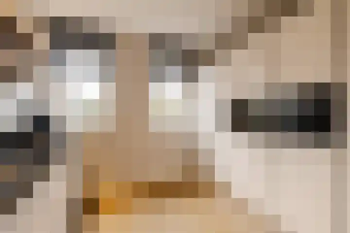 Kraanvogellaan 13 Heemstede thumbnail 10