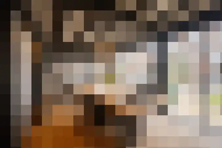Kraanvogellaan 13 Heemstede thumbnail 25