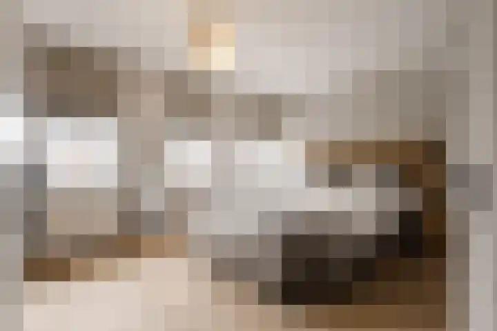 Kraanvogellaan 13 Heemstede thumbnail 32