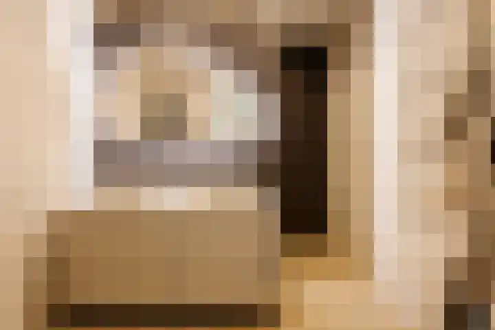 Kraanvogellaan 13 Heemstede thumbnail 35