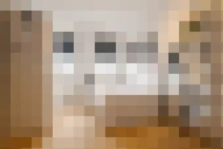 Kraanvogellaan 13 Heemstede thumbnail 37