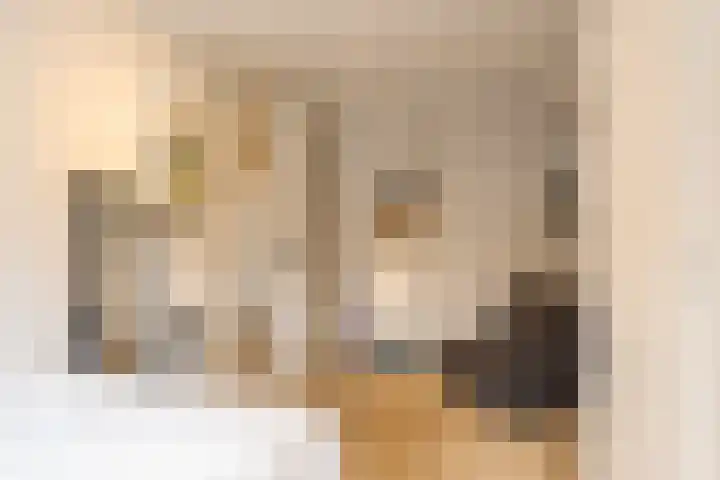 Kraanvogellaan 13 Heemstede thumbnail 38