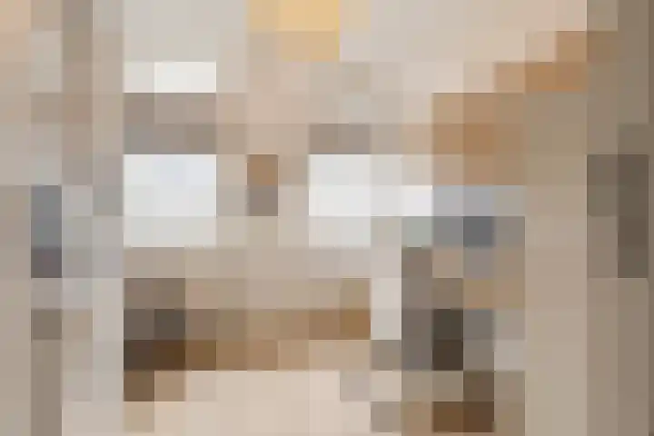 Kraanvogellaan 13 Heemstede thumbnail 39