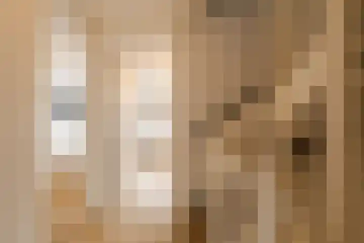 Kraanvogellaan 13 Heemstede thumbnail 41