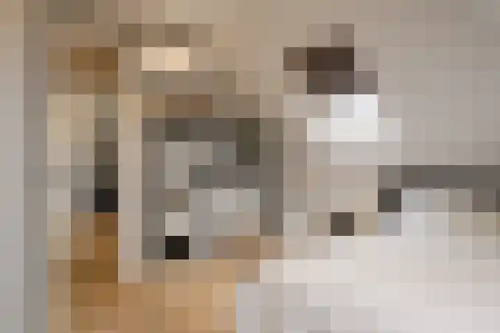 Kraanvogellaan 13 Heemstede thumbnail 42