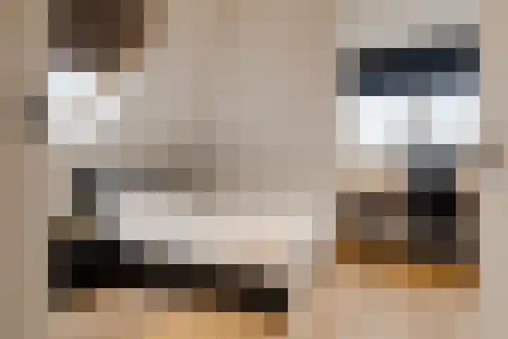Kraanvogellaan 13 Heemstede thumbnail 43