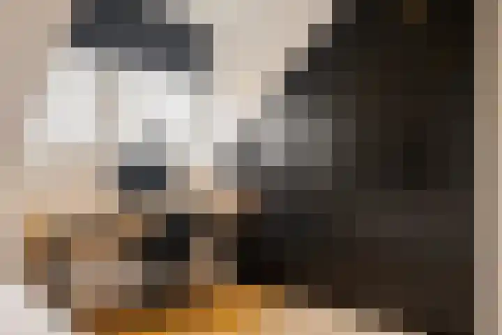 Kraanvogellaan 13 Heemstede thumbnail 44