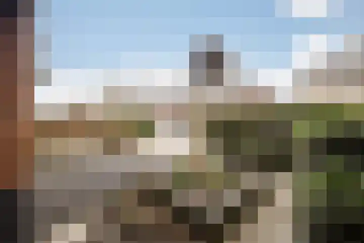 Kraanvogellaan 13 Heemstede thumbnail 50