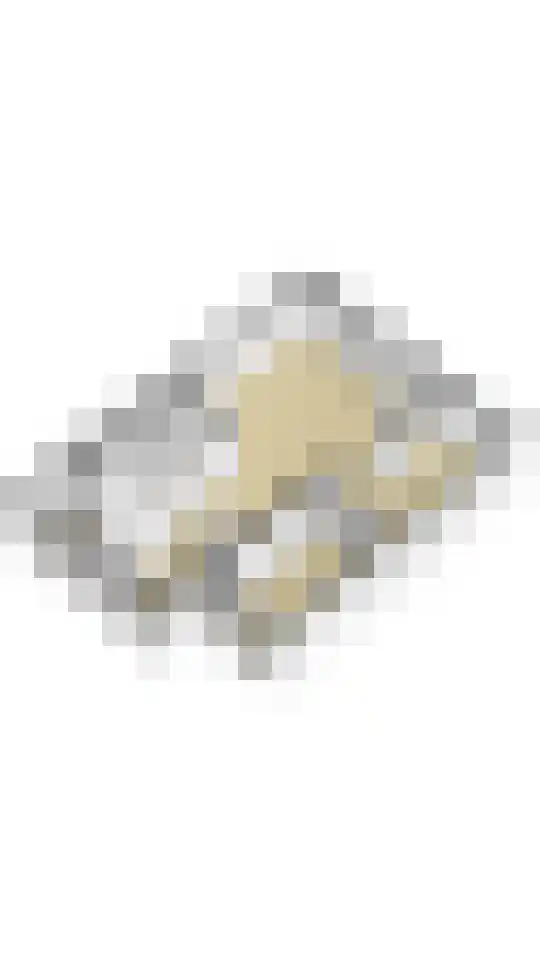 Kraanvogellaan 13 Heemstede thumbnail 52