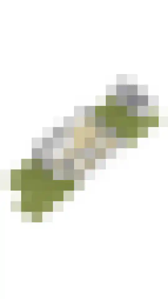 Kraanvogellaan 13 Heemstede thumbnail 62