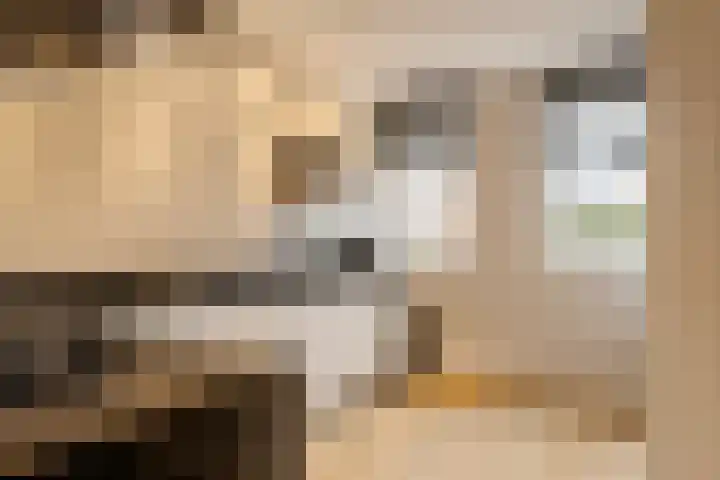 Kraanvogellaan 13 Heemstede thumbnail 8
