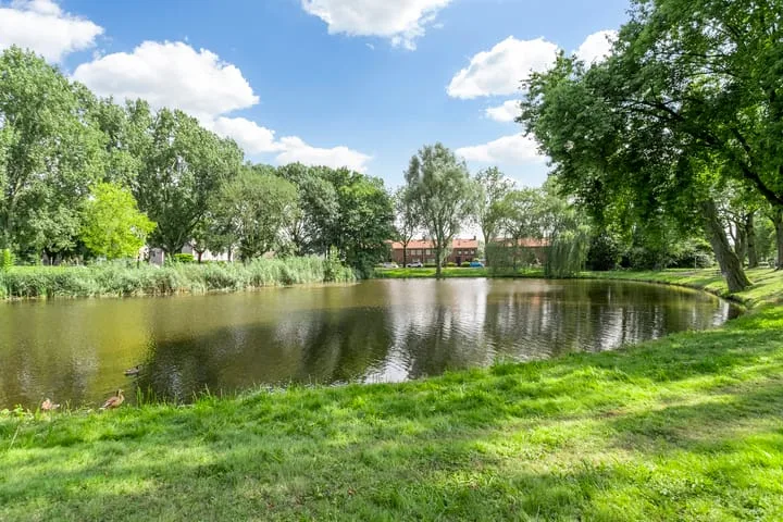 Kraanvogellaan 17 's-Hertogenbosch thumbnail 48