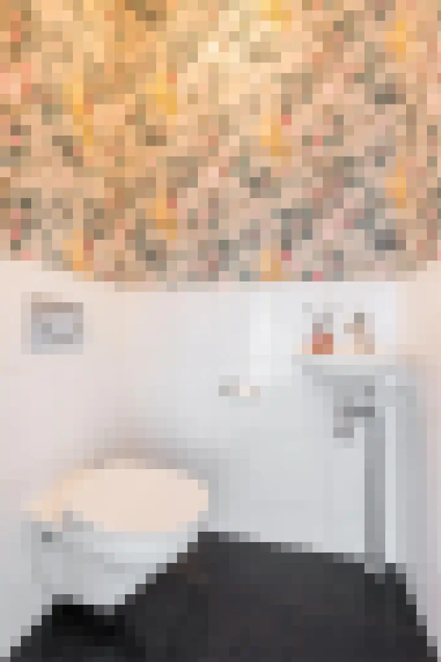Kraanvogellaan 18 Heemstede thumbnail 32