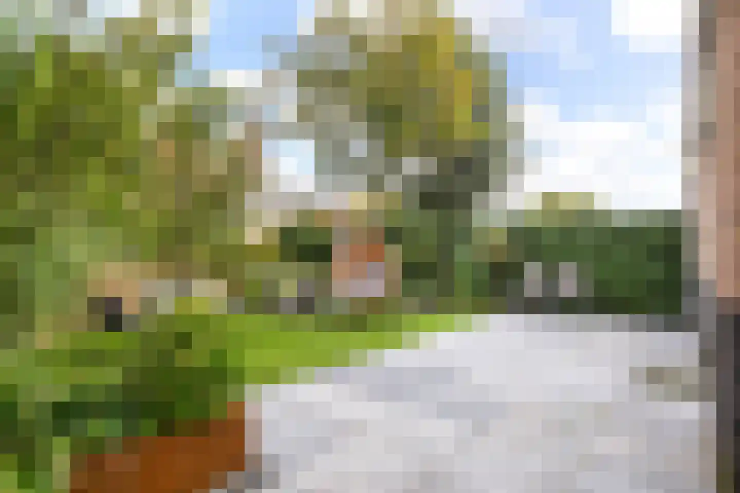 Kraanvogellaan 24 Heemstede thumbnail 16