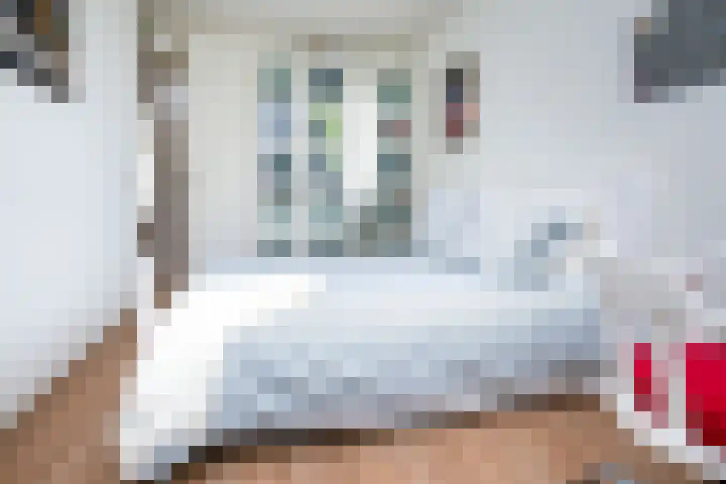 Kraanvogellaan 24 Heemstede thumbnail 30