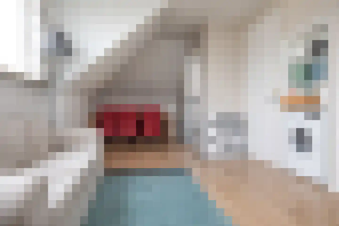 Kraanvogellaan 24 Heemstede thumbnail 34