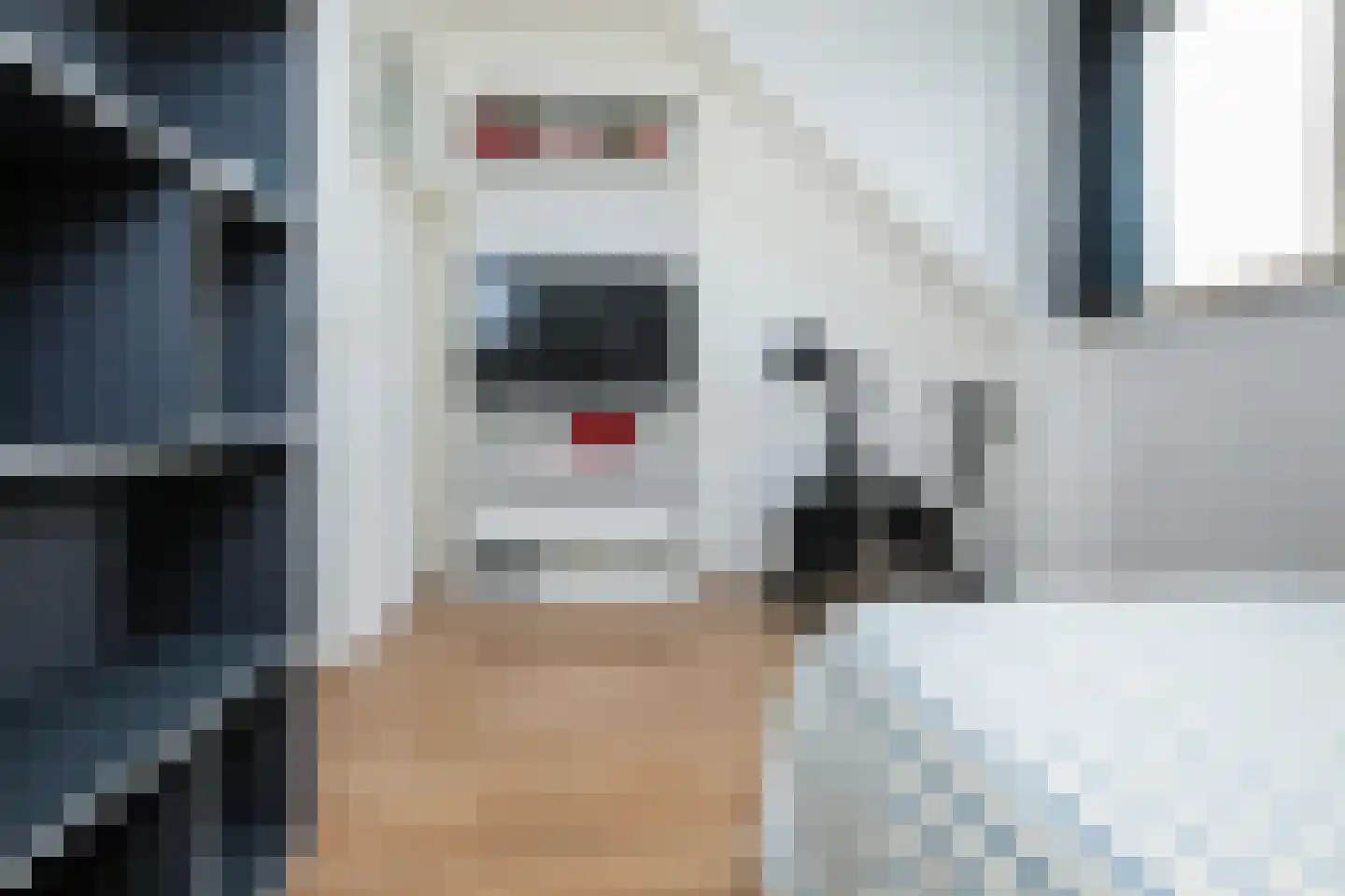 Kraanvogellaan 24 Heemstede thumbnail 39