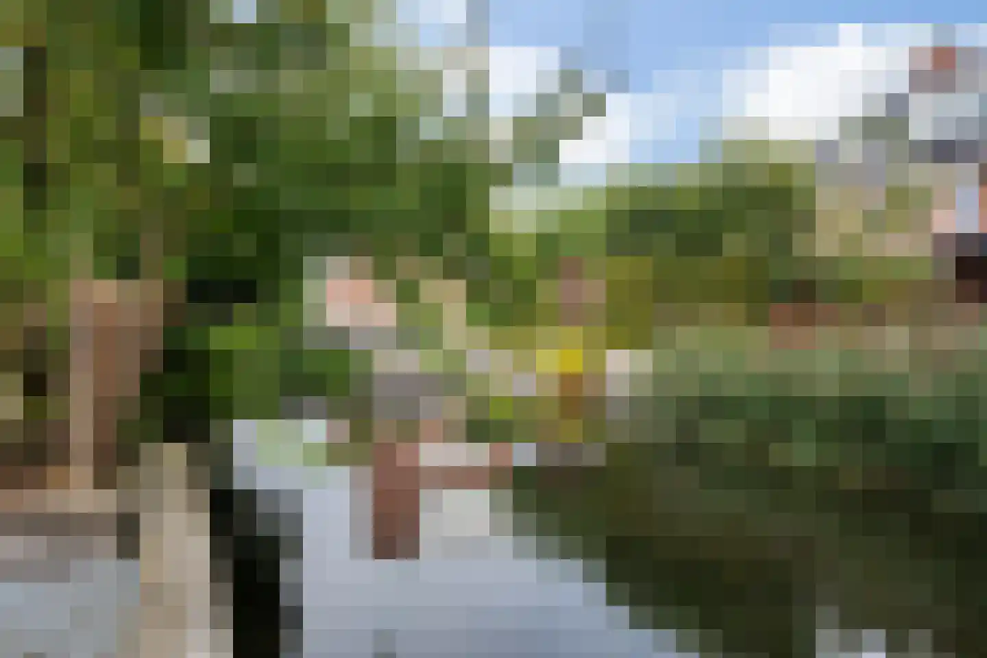 Kraanvogellaan 24 Heemstede thumbnail 41