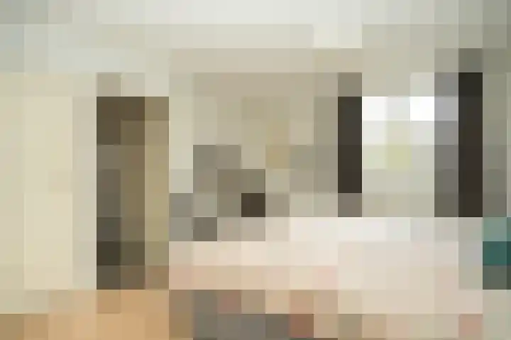 Kraanvogellaan 34 's-Hertogenbosch thumbnail 24