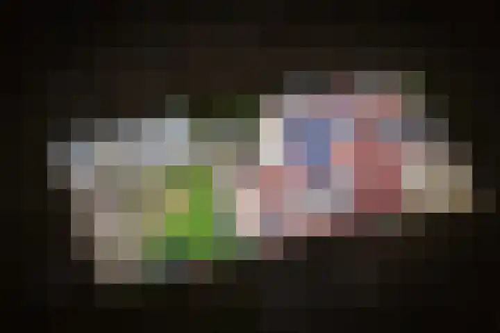 Kraanvogellaan 34 's-Hertogenbosch thumbnail 55