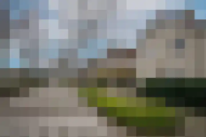 Kraanvogellaan 34 's-Hertogenbosch thumbnail 60