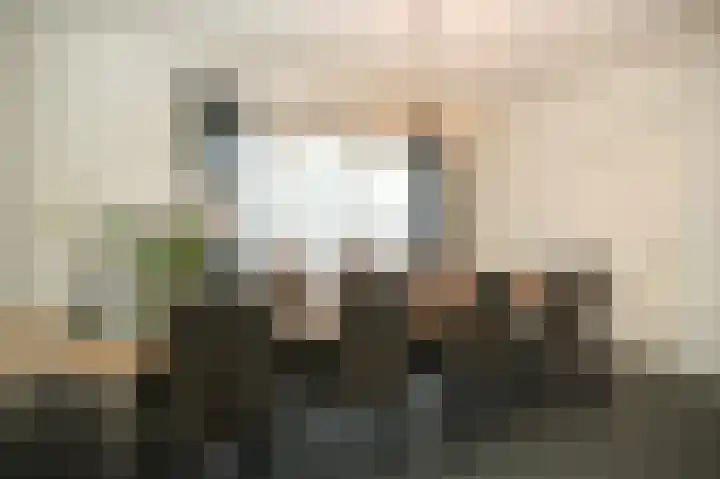 Kraanvogellaan 34 's-Hertogenbosch thumbnail 9