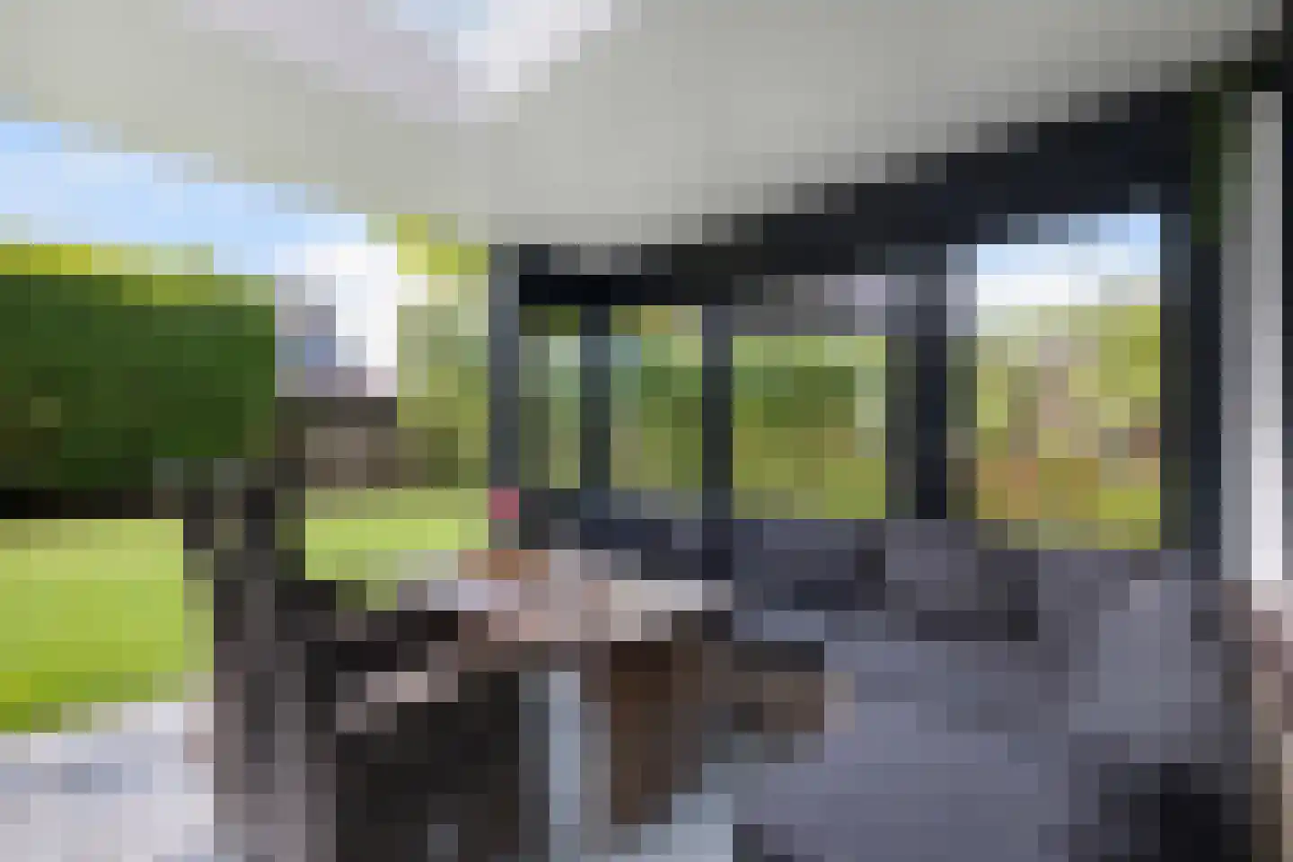 Kraanvogellaan 40 's-Hertogenbosch thumbnail 22