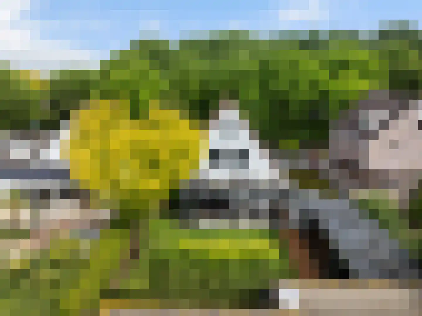 Kraanvogellaan 40 's-Hertogenbosch thumbnail 37