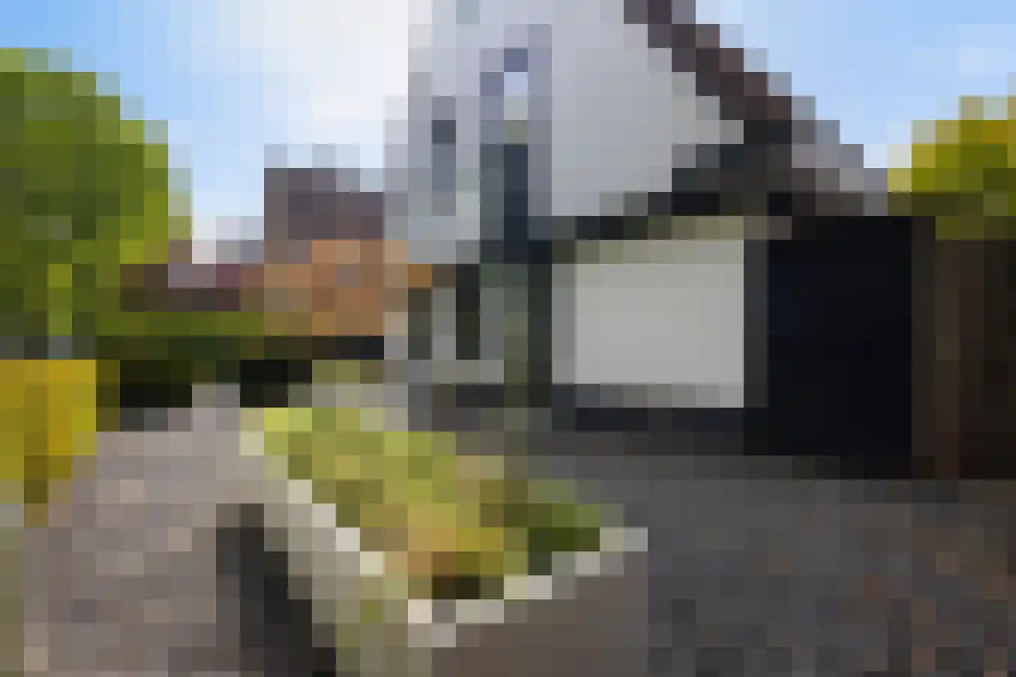 Kraanvogellaan 40 's-Hertogenbosch thumbnail 66