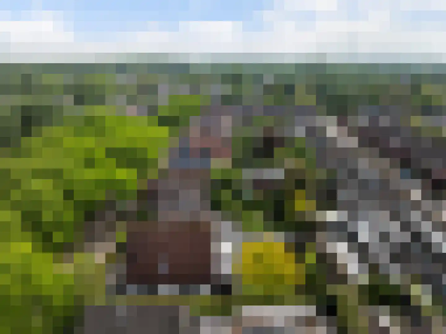 Kraanvogellaan 40 's-Hertogenbosch thumbnail 73
