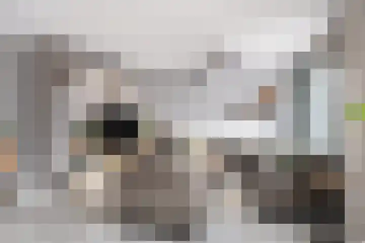 Kraanvogellaan 5 A Vlaardingen thumbnail 10
