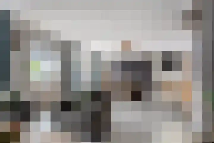 Kraanvogellaan 5 A Vlaardingen thumbnail 11