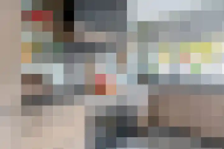 Kraanvogellaan 5 A Vlaardingen thumbnail 16