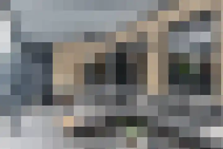 Kraanvogellaan 5 A Vlaardingen thumbnail 17