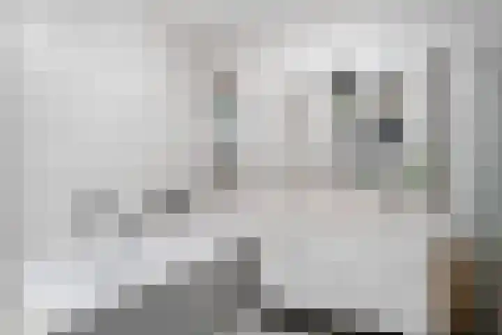 Kraanvogellaan 5 A Vlaardingen thumbnail 29