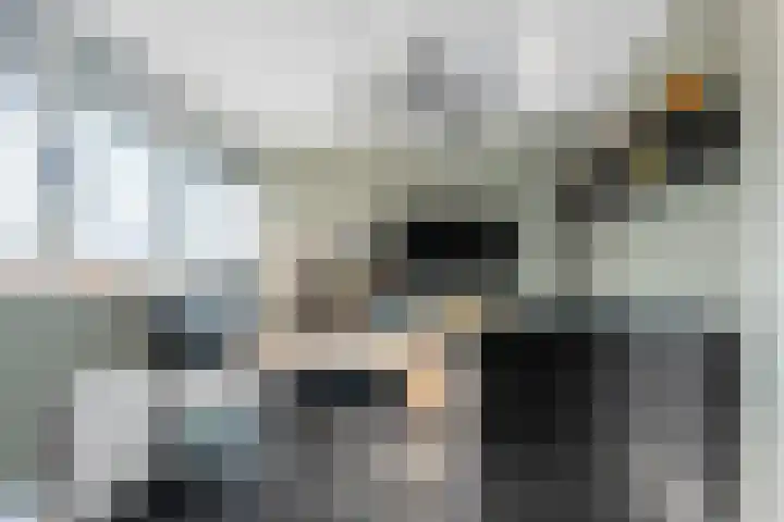 Kraanvogellaan 5 A Vlaardingen thumbnail 35
