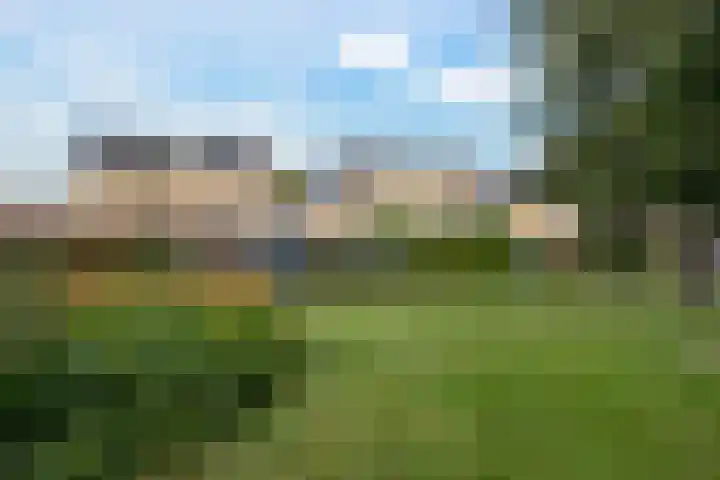 Kraanvogellaan 5 A Vlaardingen thumbnail 41