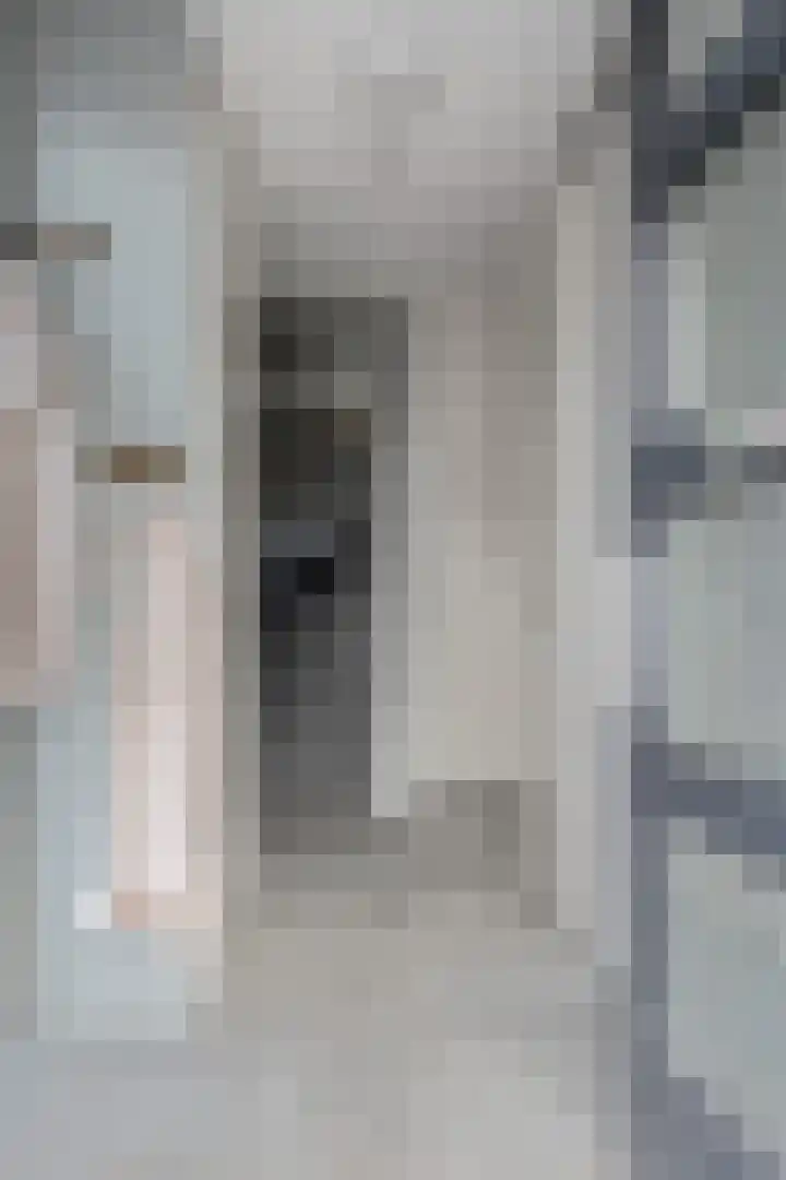 Kraanvogellaan 5 A Vlaardingen thumbnail 5