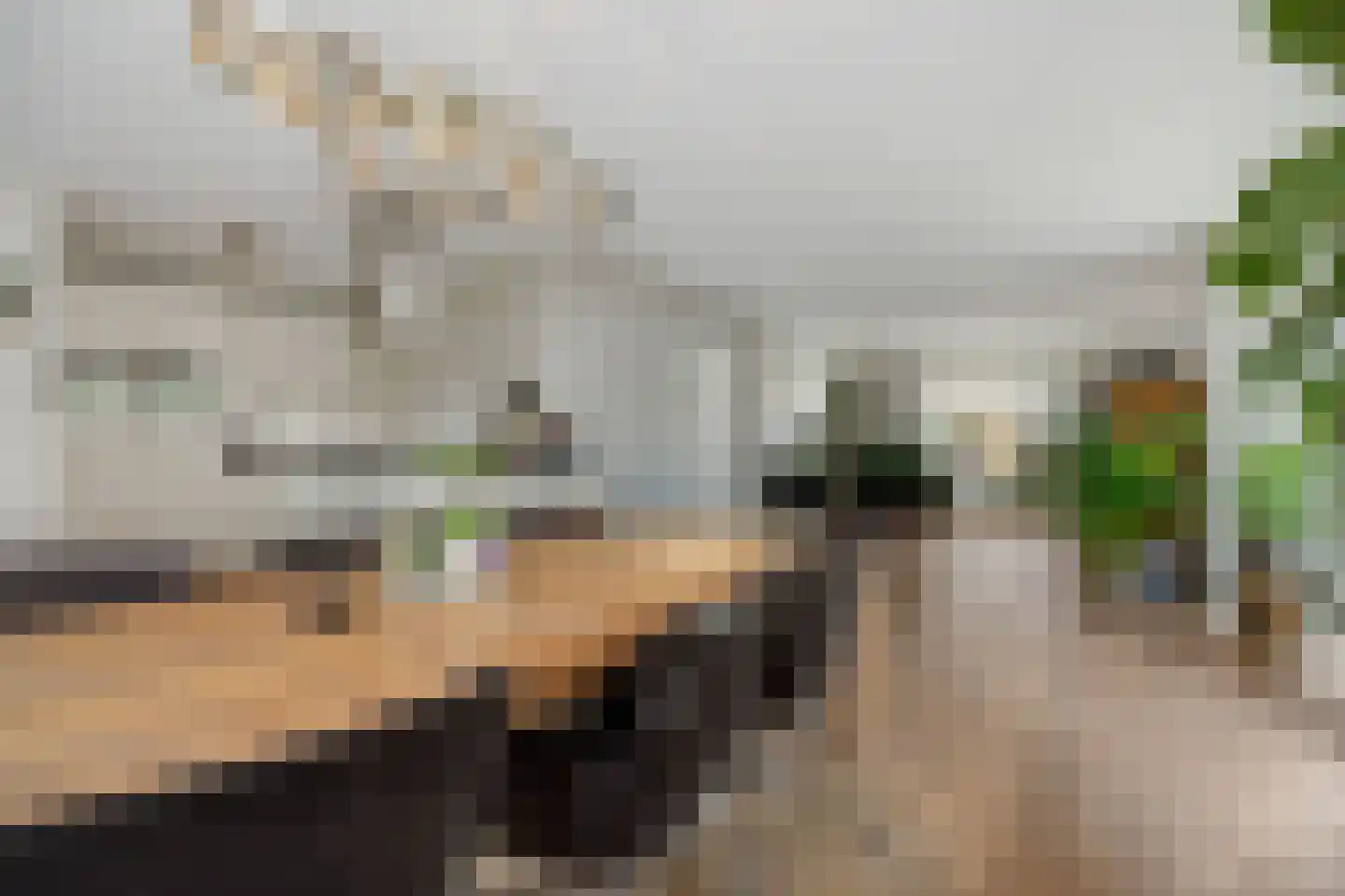 Kraanvogellaan 55 's-Hertogenbosch thumbnail 10