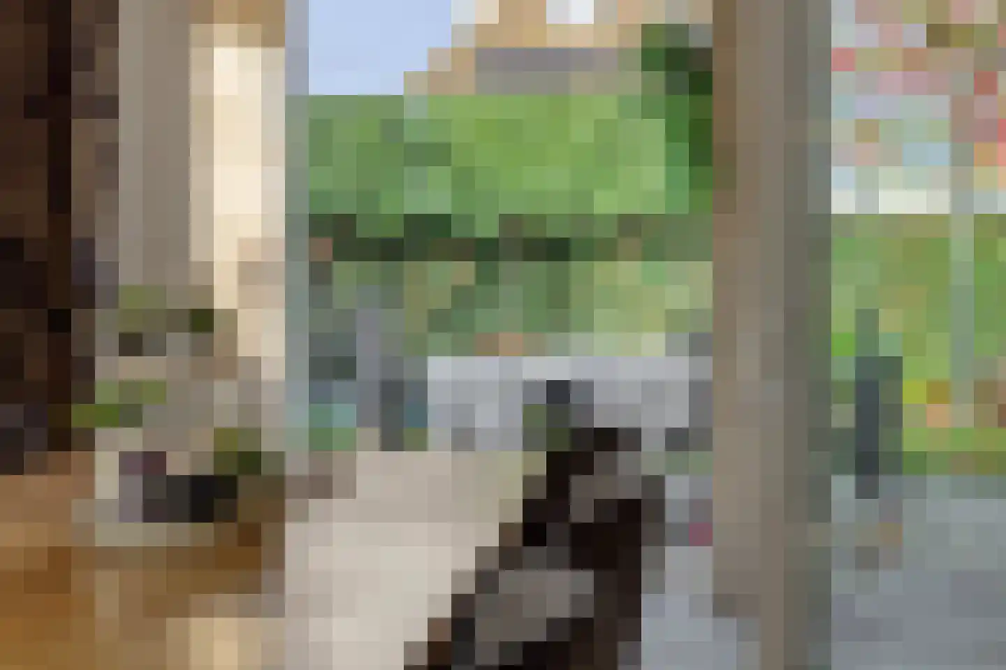 Kraanvogellaan 55 's-Hertogenbosch thumbnail 11