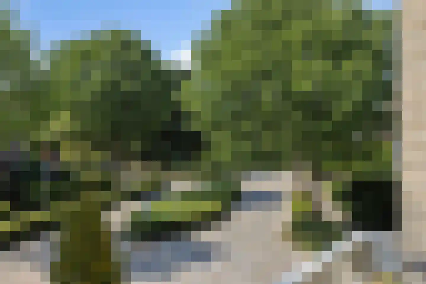 Kraanvogellaan 55 's-Hertogenbosch thumbnail 25
