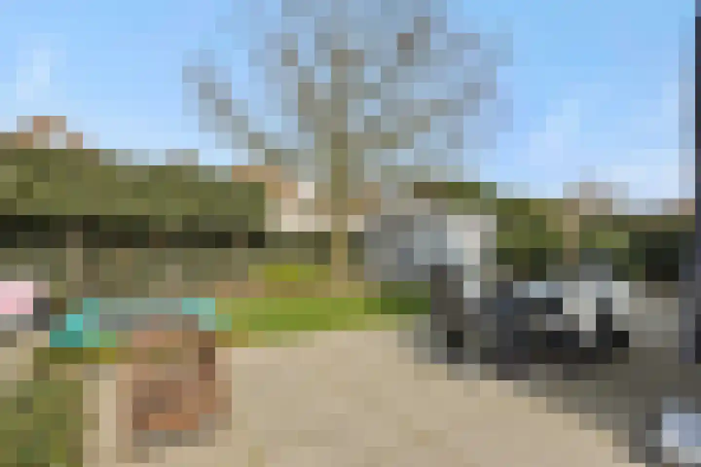 Kraanvogellaan 55 's-Hertogenbosch thumbnail 41