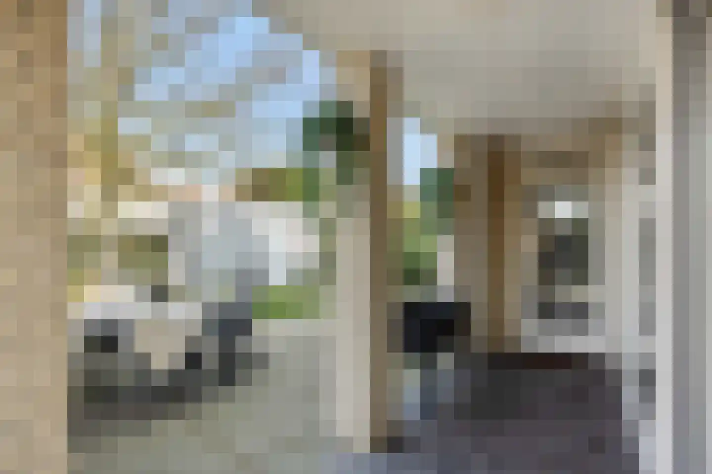 Kraanvogellaan 55 's-Hertogenbosch thumbnail 46