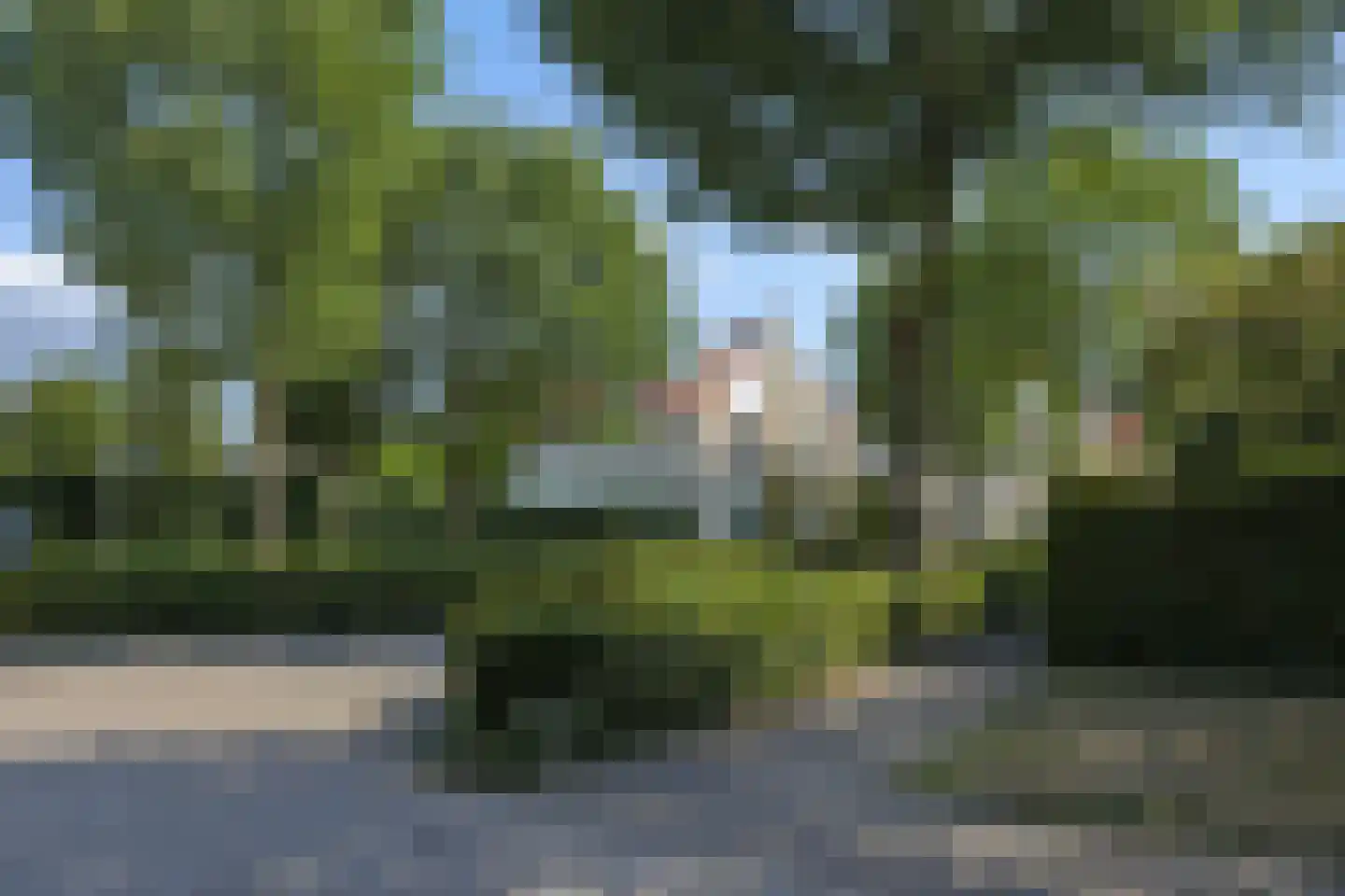 Kraanvogellaan 55 's-Hertogenbosch thumbnail 54