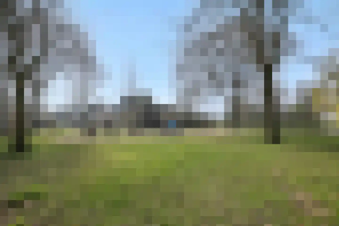 Kraanvogellaan 55 's-Hertogenbosch thumbnail 55