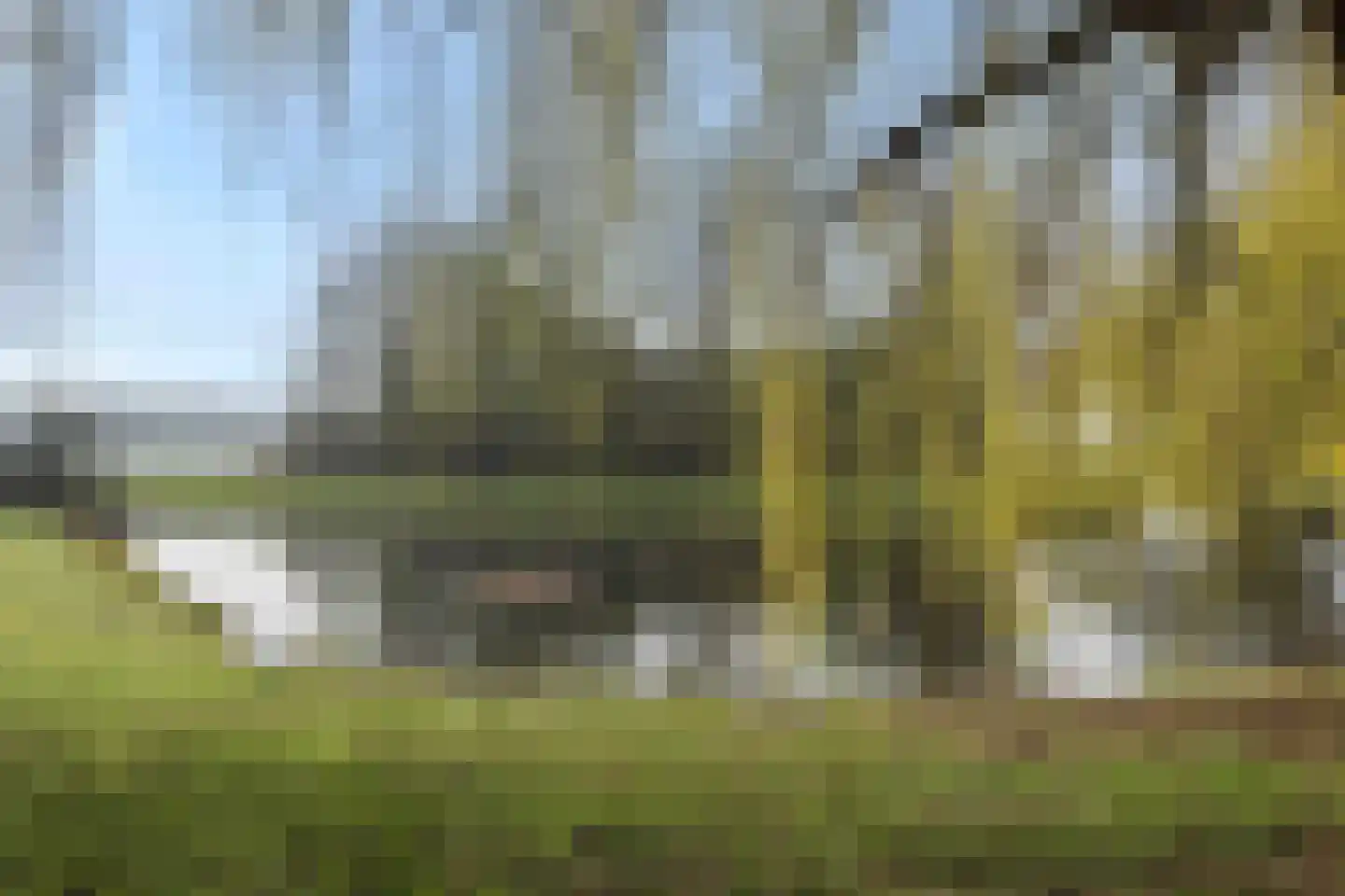 Kraanvogellaan 55 's-Hertogenbosch thumbnail 56