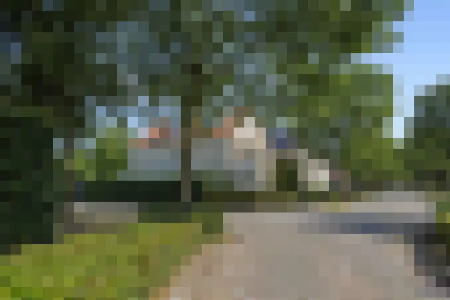 Kraanvogellaan 55 's-Hertogenbosch thumbnail 56