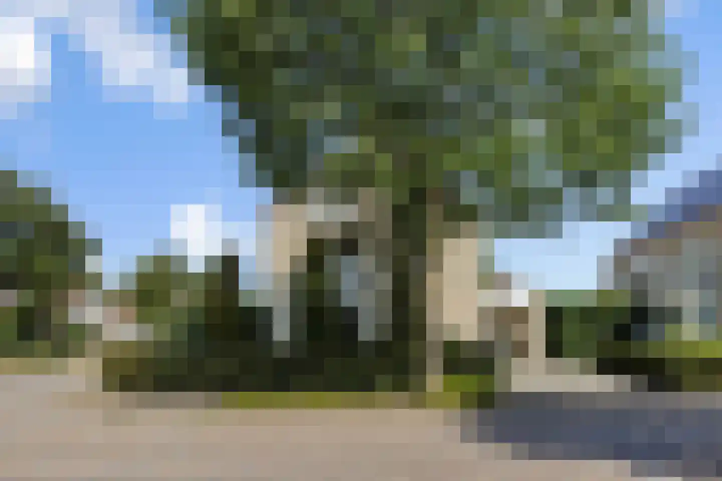 Kraanvogellaan 55 's-Hertogenbosch thumbnail 58