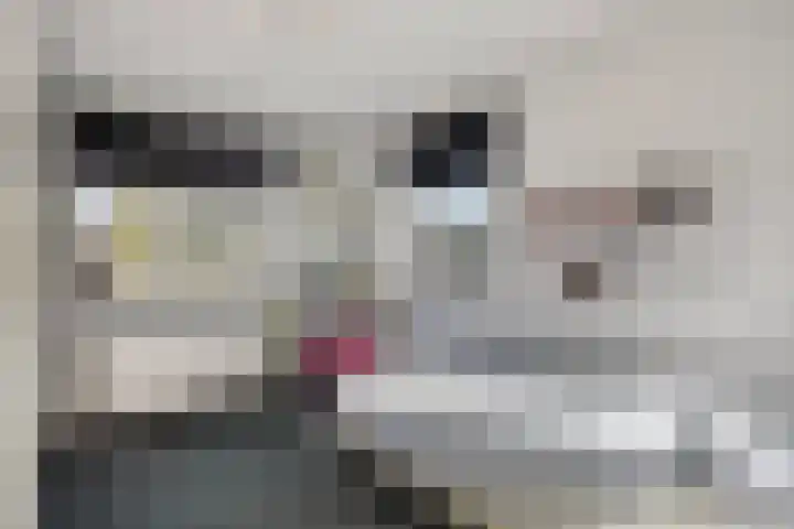 Kraanvogellaan 57 's-Hertogenbosch thumbnail 38